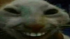 Emoji Twitch_xdd