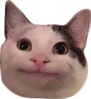 Emoji catpolite